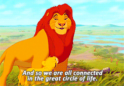 All connected in the great circle of life